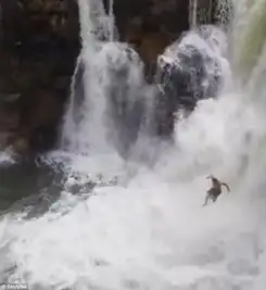 加拿大男子纵身跳入10米长瀑布场面惊险