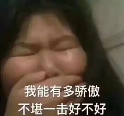 directive白话版