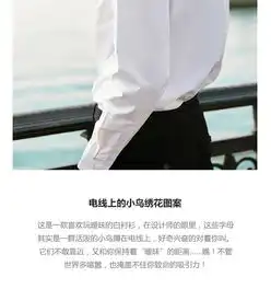 卡宾男装翻领长袖白色衬衫字母刺绣时尚港风上衣秋季新款ins衬衣b