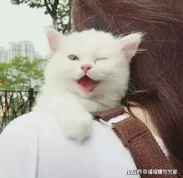 这些星座已经开始不爱结交新朋友,懒得去了解