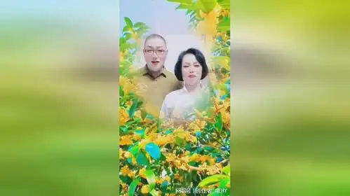 铁战们兄弟姐妹们早上好,夫妻是一辈子培伴