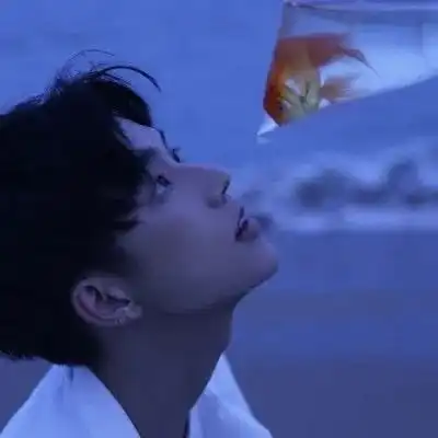 情头,爱没有方向你就是风标