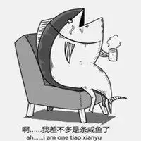 我是咸鱼表情包微信头像图片大全