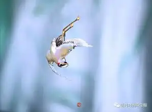 设计也是一种神的旨意,云中鹤胸针