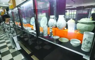 只因主人姓唐就有了如此霸气的名字