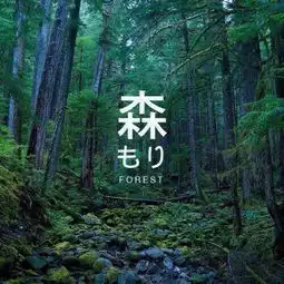 fashion多肉自截森系误入森林心脏