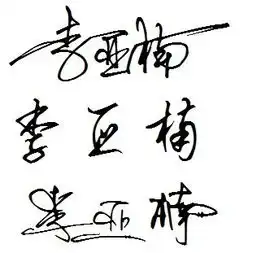 我叫李亚楠,是男生,请帮忙设计一个艺术签名