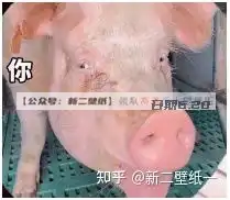 看看是谁咦好像是男朋友啊好丑不理抖音热门图片表情包