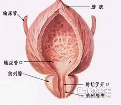 前列腺炎都有哪些症状