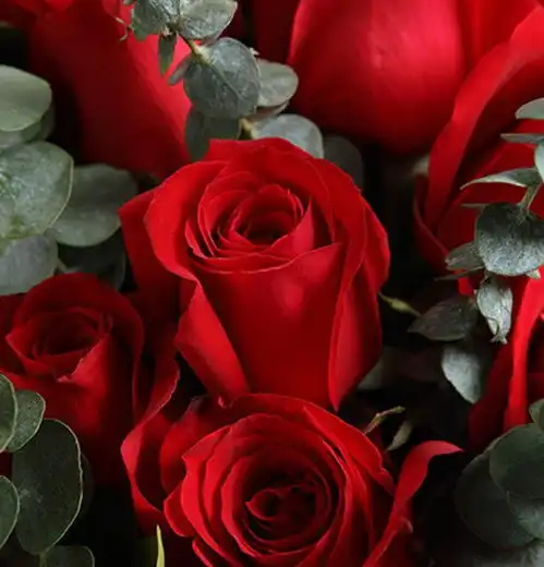 下个月佛祖保佑,金山银山堆满屋,家庭和睦钱不愁的四生肖