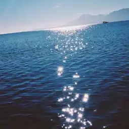 阿俊万人称我马阿俊收藏会员列表