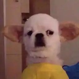 男友打游戏时,还回你这3条消息恭喜你铁定是他未来媳妇