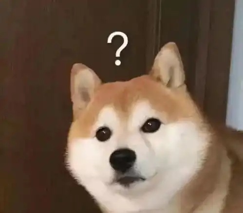 民法典新规,城市养狗,弊大于利,动辄赔钱没商量