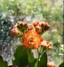 多彩贵州网教育频道贵州新闻门户网站