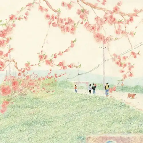 他的彩铅,有夏天的味道