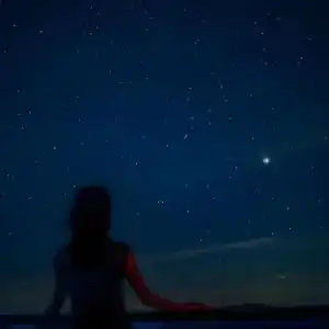 望星空钢琴简谱数字双手