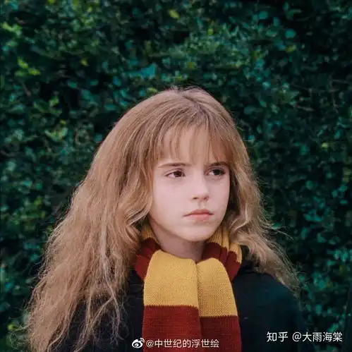 大家都磕harrypotter中的哪个cp