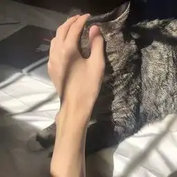 一批好看的男女生头像