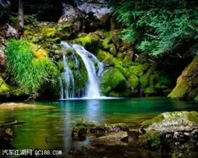 报道报价霸道图片