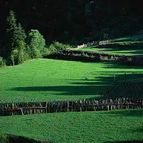 春天绿野风景自然生态自然风光树木图片素材模板下载7.90mb其他大全标志丨符号