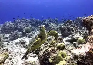 我要和你一起看遍世界美好的地方蓝色美