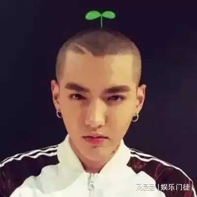 娱乐圈到底有多乱多可怕揭露你所不知道的真相