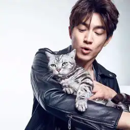 又双叒换微博头像林更新你考虑过粉丝的感受吗