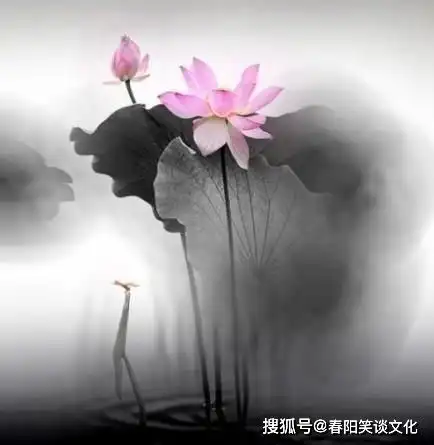 深奥难懂的精妙禅语,静下心来好好看看