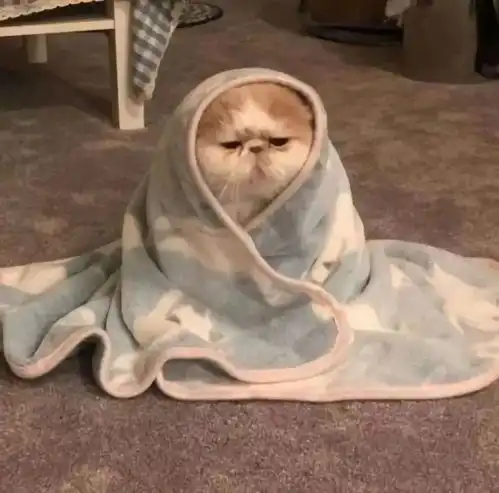 神反转的沙雕文案