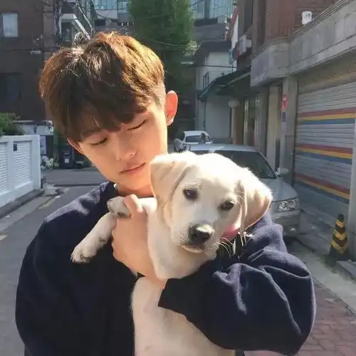 抱宠男头l你与星河皆可收藏