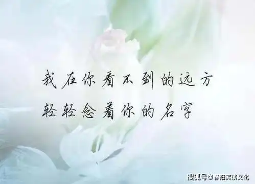 表示对一个人心寒的句子,句句直戳心窝,用情至深的人才能看得懂