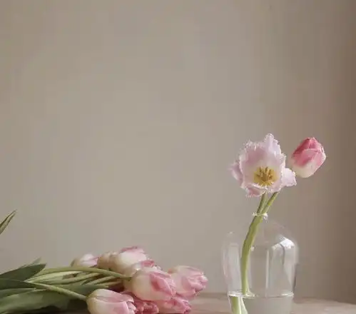 24句说到心坎里的话,韵味清新,百读不厌