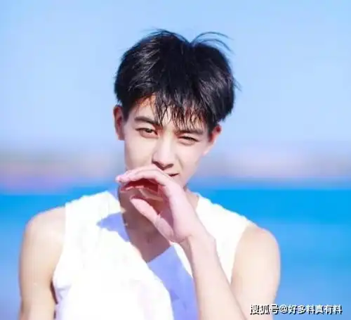 宋威龙的闪光点有哪些为什么宋威龙能从模特转型成功