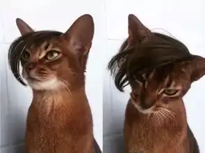 每周一贱大学生玩绝地求生家长投诉汉中全县网吧删吃鸡