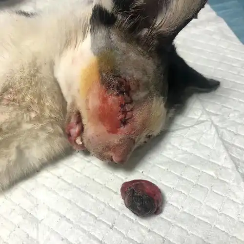 多么幸运遇见了你,别害怕,我们会陪你