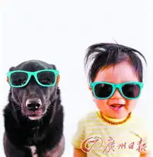 美国摄影师拍摄男童与宠物狗情侣照