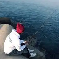 钓鱼卡通头像微信头像图片大全