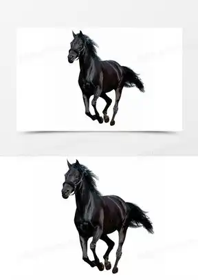 漂亮的黑马图片头像下载一匹黑马图片高清矢量图大全熊猫办公
