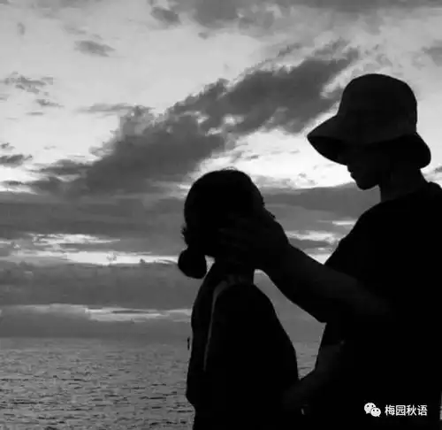 杨迅诵读我走了第513期