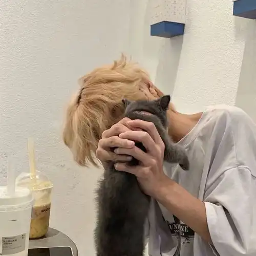 男生头像真人男头