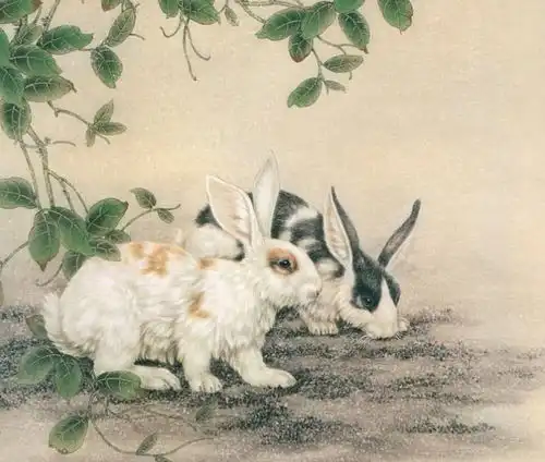 生肖兔,酸甜苦辣改变自己的未来,发家致富