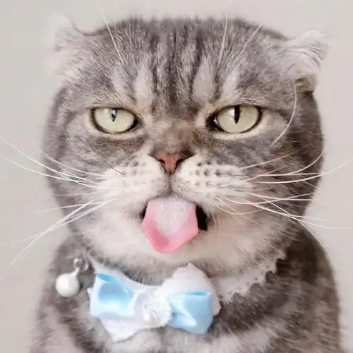 我在acfun听情歌