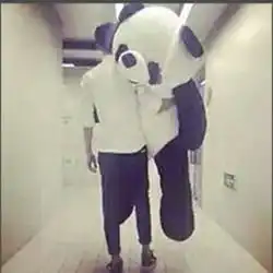 花猫sri视频直播全集花猫sri资料大全yy官方