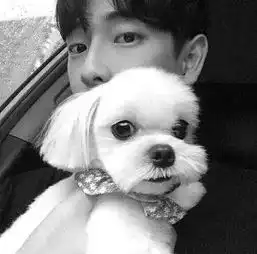 re友视频直播全集re友资料大全yy官方