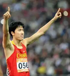 翔莎恋应得更多祝福同行相伴或助飞人再起飞