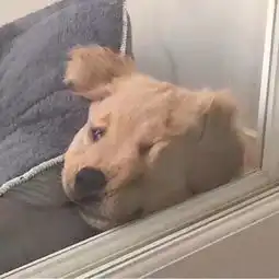 失物招领快手直播