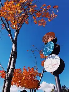 东京后花园轻井泽秋日的温暖小时光