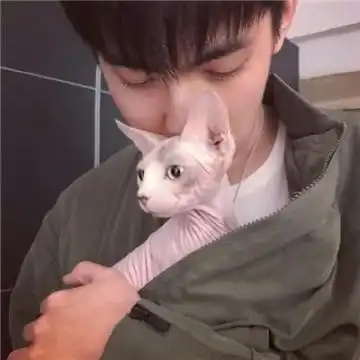 qq头像人抱着萌宠男生头像2019阳光正好我们去浪