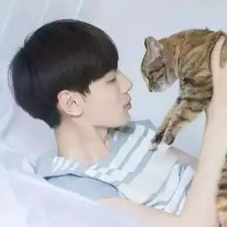 好男不养猫知道不我呸