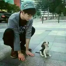 梦一样的北方简介梦一样的北方背景介绍yy官方